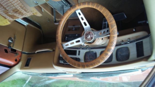1974 AMC AMX AMC Javelin AMX - photo 3