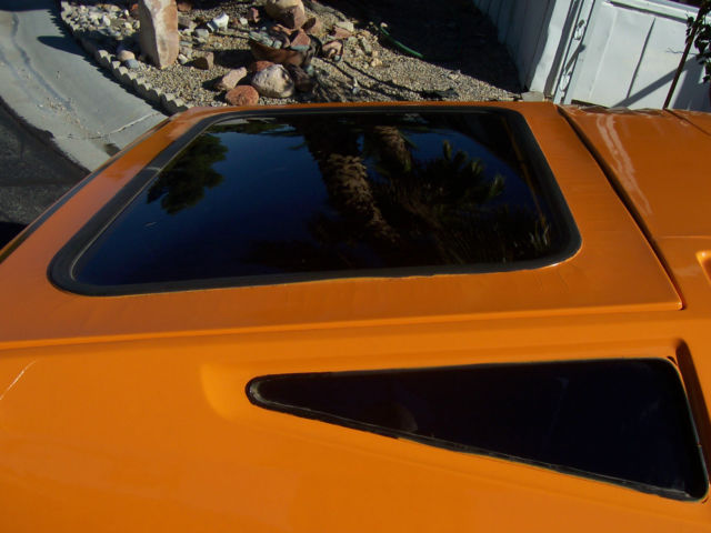 1974 Other Makes SV-1 - photo 10