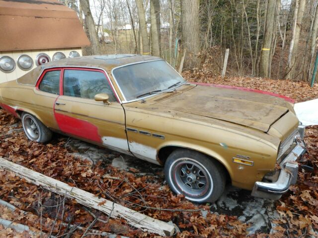 1974 Buick Other GTX - photo 4