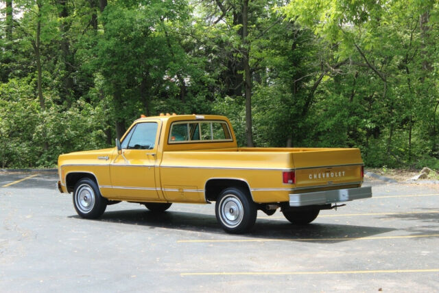 1974 Chevrolet C-10 Custom Deluxe - photo 4