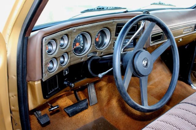 1974 Chevrolet C-10 Super Cheyenne - photo 11