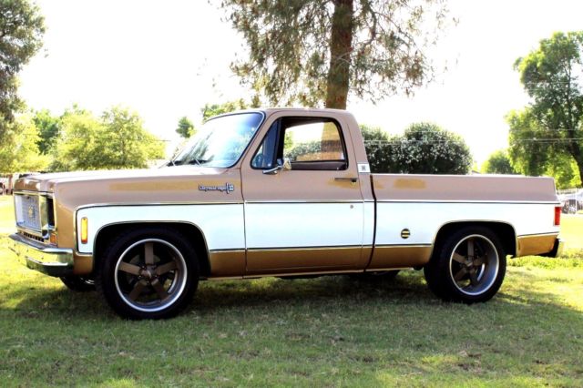 1974 Chevrolet C-10 Super Cheyenne - photo 5