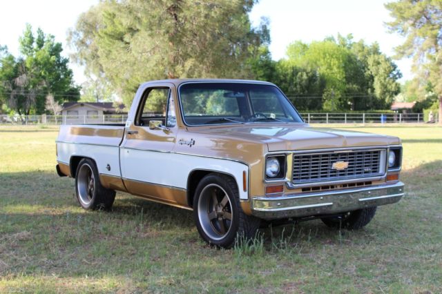 1974 Chevrolet C-10 Super Cheyenne - photo 7