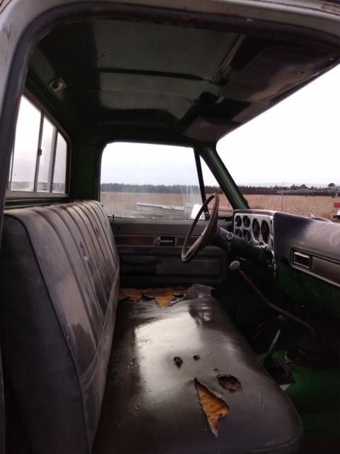 1974 Chevrolet C/K Pickup 2500 Custom - photo 5