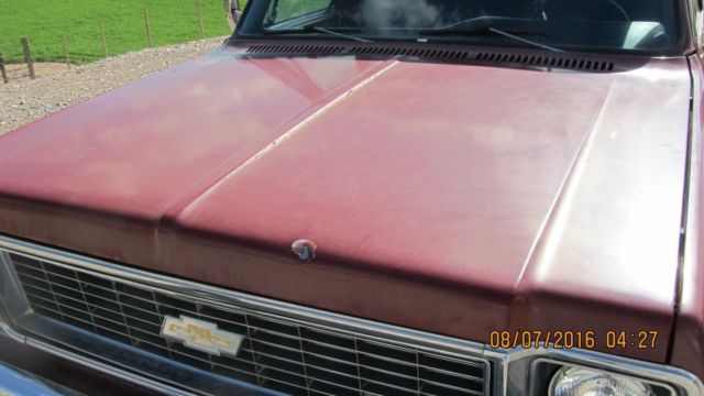 1974 Chevrolet Cheyenne Super 10 - photo 7