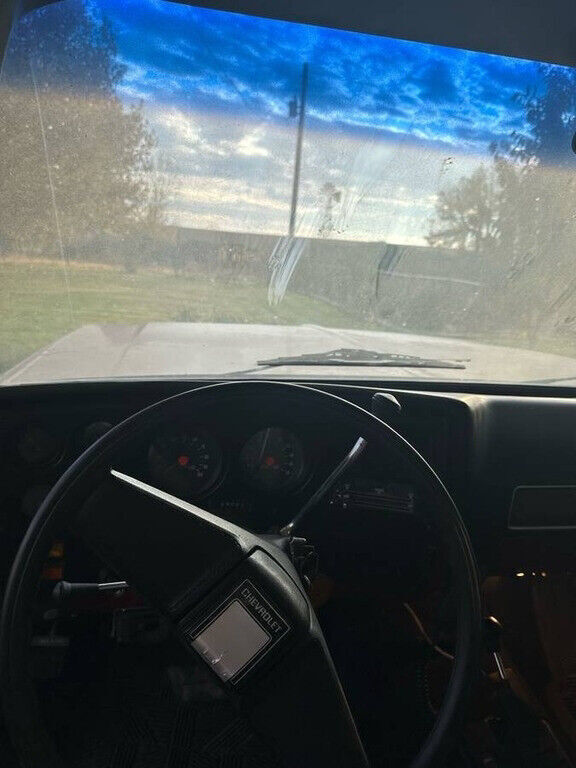 1974 Chevrolet Silverado Silverado 4X4 - photo 8
