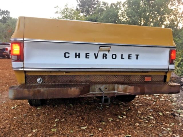 1974 Chevrolet C-10 Custom deluxe - photo 5