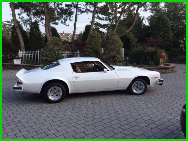 1974 Chevrolet Camaro Custom Body by Motion Speed in 1975, Original 350 Engine