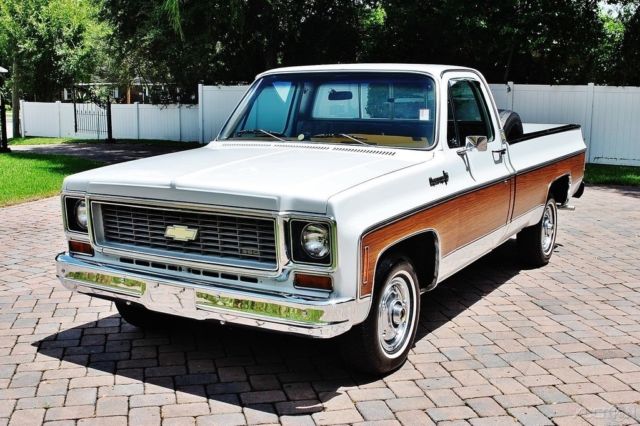 1974 Chevrolet Cheyenne - photo 8