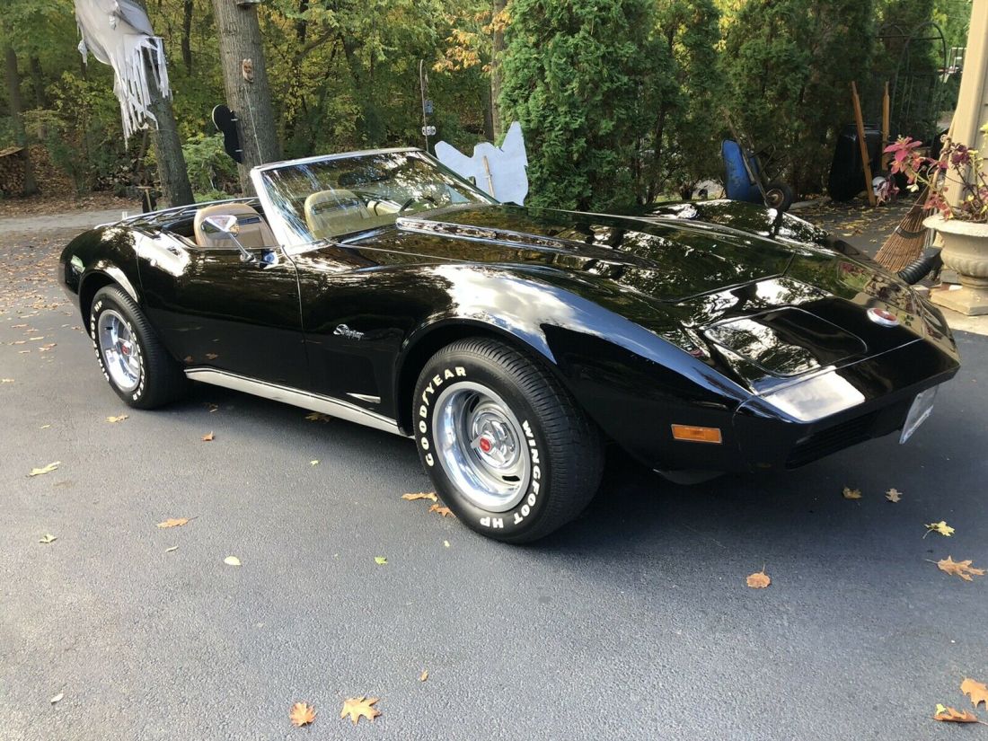1974 Chevrolet Corvette 5.7 C3 - photo 7