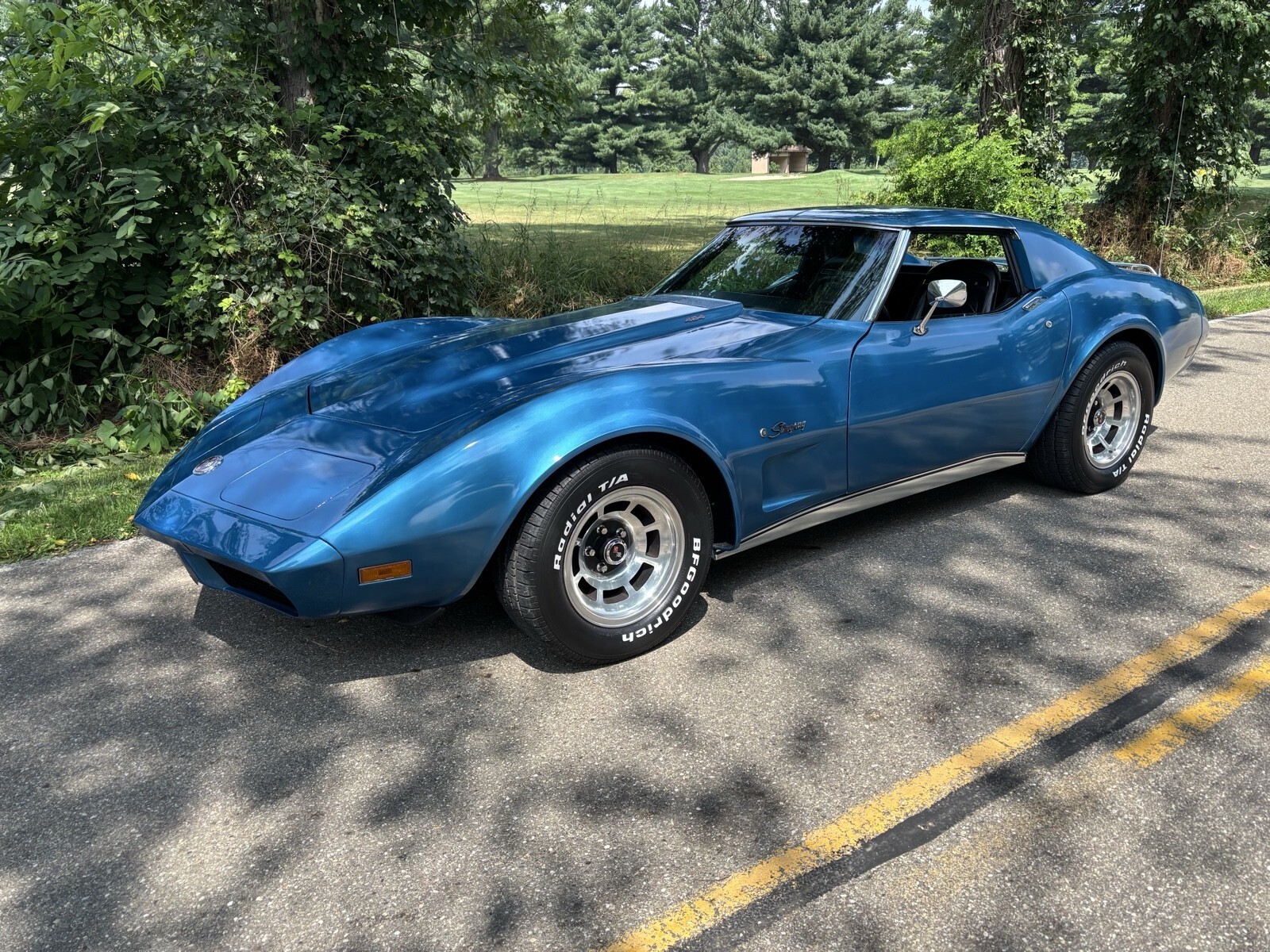 1974 Chevrolet Corvette 454 big block - photo 9