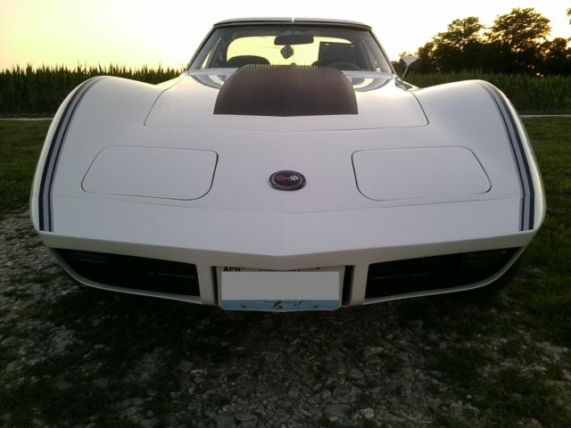 1974 Chevrolet Corvette Base - photo 2