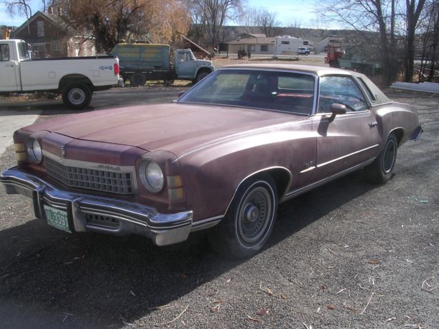 1974 Chevrolet Monte Carlo Landau - photo 3