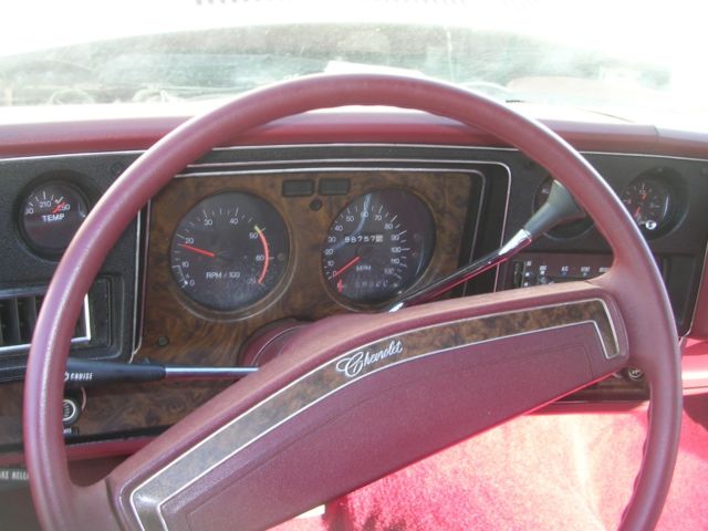 1974 Chevrolet Monte Carlo Landau - photo 7