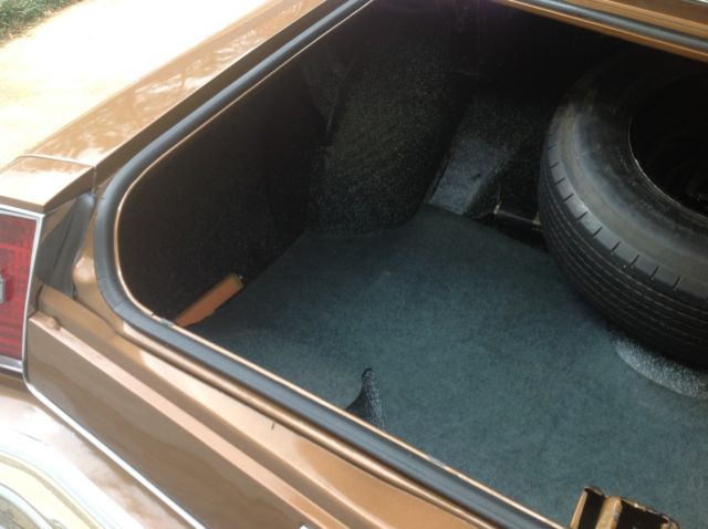 1974 Chevrolet Monte Carlo Limited edition full vinyl top - photo 11