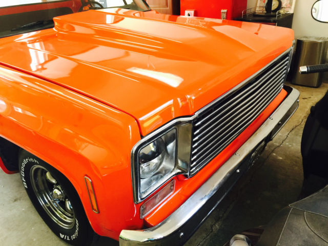 1974 Chevrolet Silverado 1500 CUSTOM - photo 7