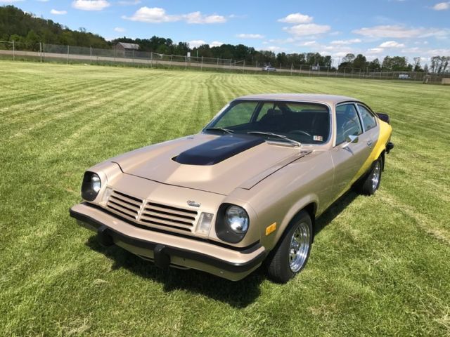 1974 Chevrolet Other Hatchback - photo 3