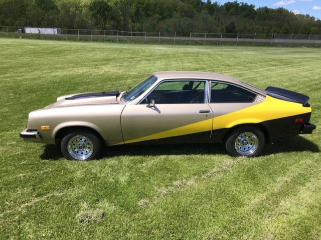1974 Chevrolet Other Hatchback - photo 4