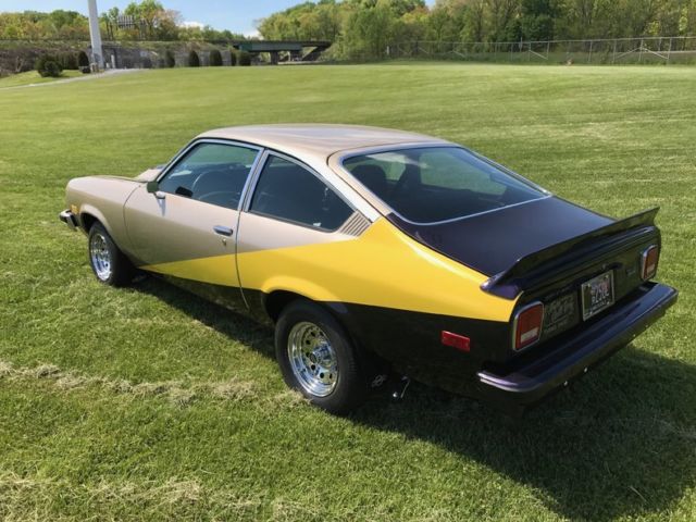 1974 Chevrolet Other Hatchback - photo 5