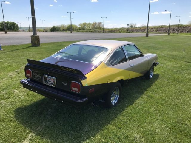 1974 Chevrolet Other Hatchback - photo 7