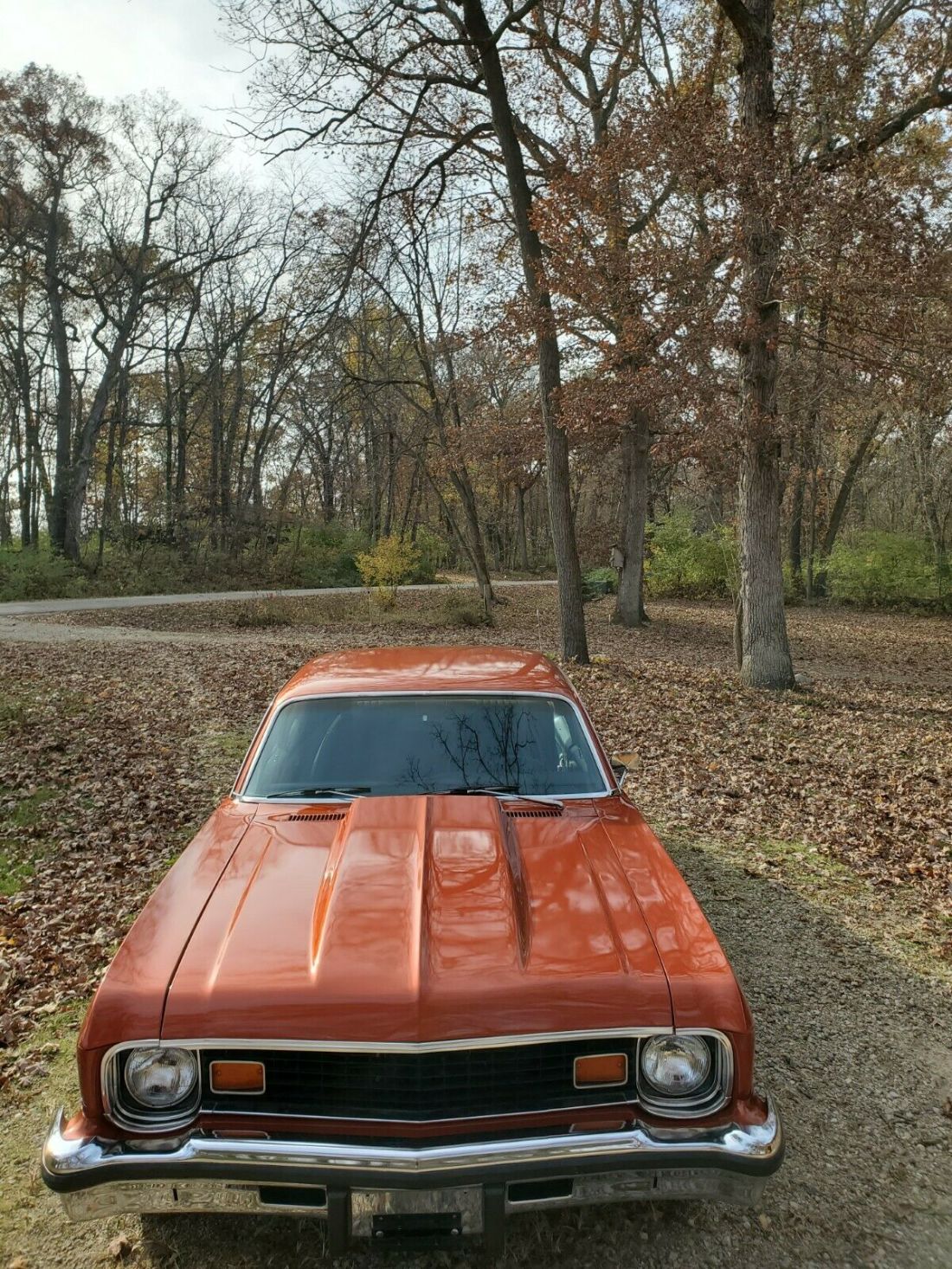 1974 Chevrolet Nova - photo 10