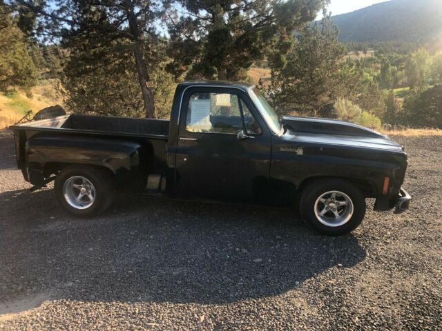 1974 Chevy Scottsdale Step Side Pick up Truck 1974 Chevrolet Chevy