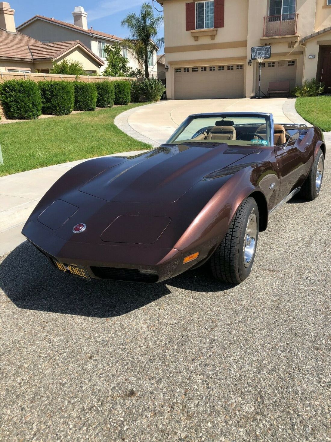 1974 Chevrolet Corvette Deluxe interior - photo 5