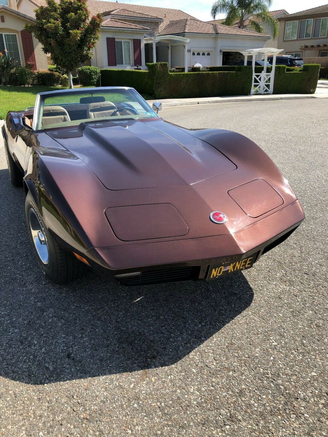 1974 Chevrolet Corvette Deluxe interior - photo 6