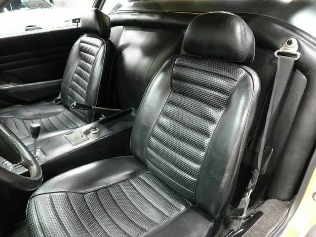 1974 De Tomaso Other Coupe - photo 5