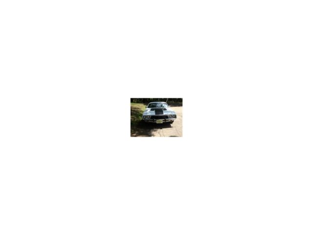 1974 Dodge Challenger Base Hardtop 2-Door - photo 7