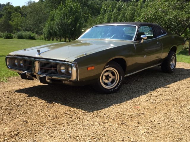 1974 Dodge Charger SE - photo 2