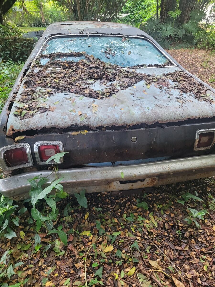 1974 Dodge Dart - photo 7