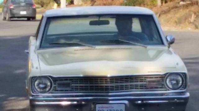 1974 Dodge Dart Hard Top Vinyl - W/Painted White Strip - photo 3