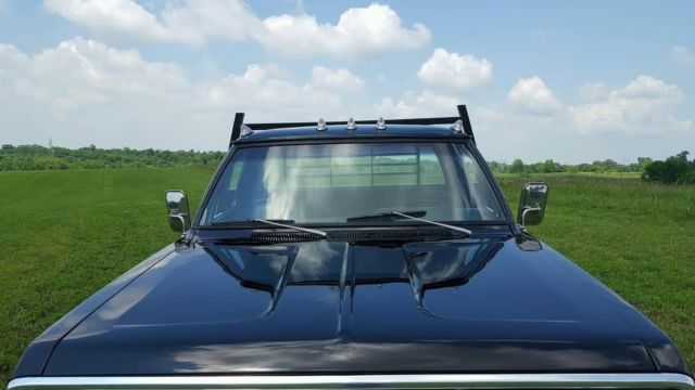 1974 Dodge Other Pickups - photo 9