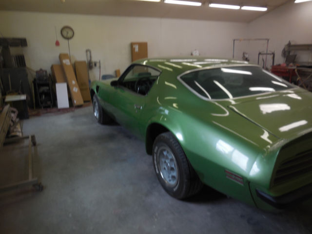 1974 Pontiac Firebird standard - photo 6