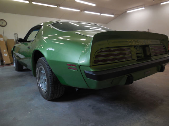 1974 Pontiac Firebird standard - photo 8