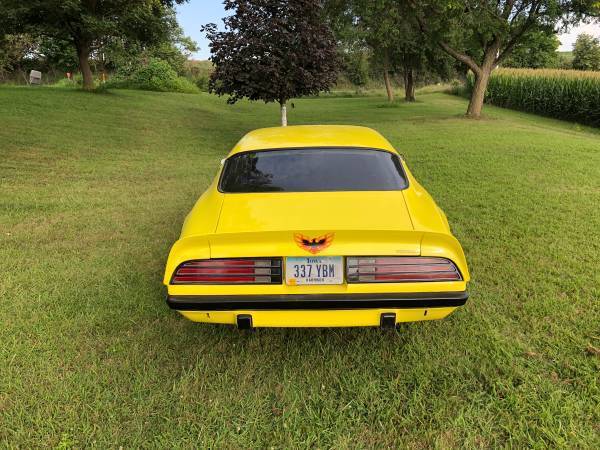 1974 Pontiac Firebird - photo 6