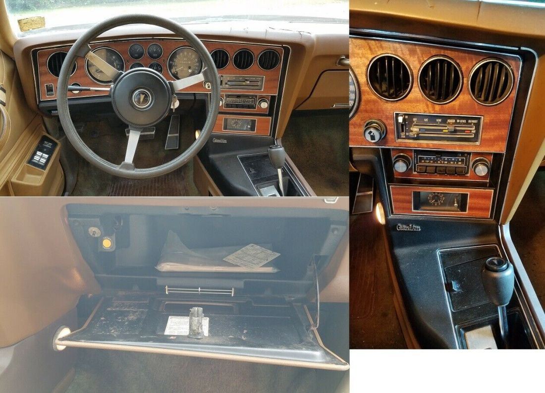 1974 Pontiac Grand Am - photo 10