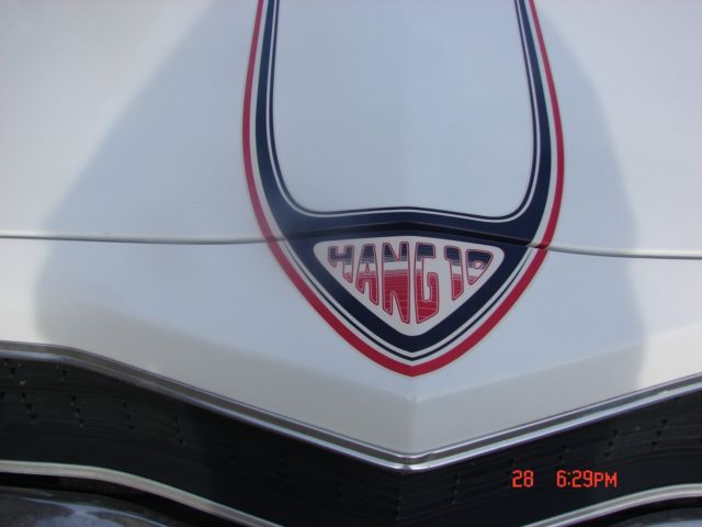 1974 Hang Ten Dodge Dart 1974 Dodge Dart Hang Ten
