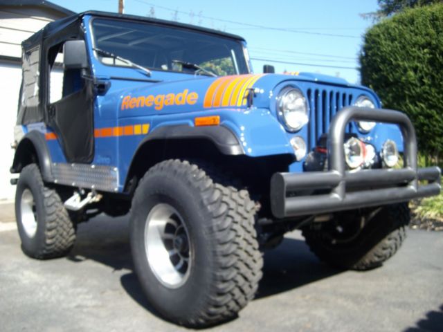 1974 Jeep CJ base - photo 8