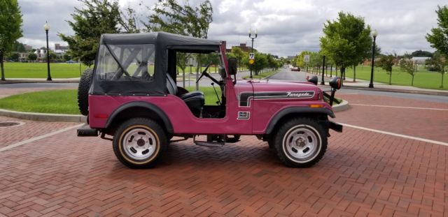 1974 Jeep Renegade - photo 6