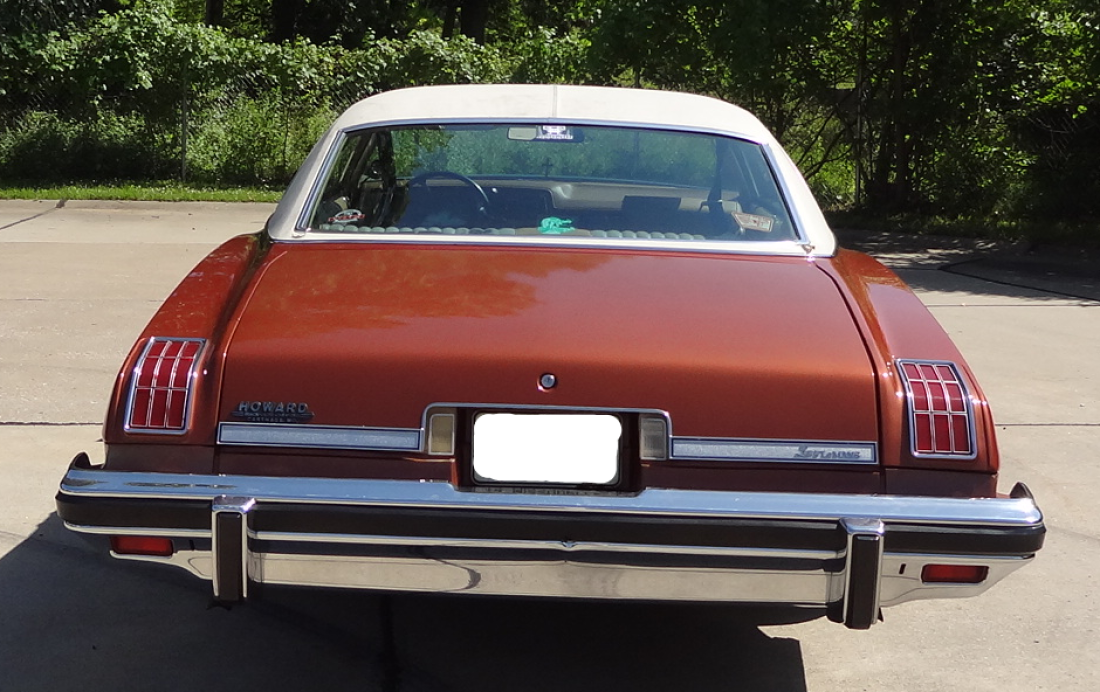 1974 Pontiac Le Mans - photo 6