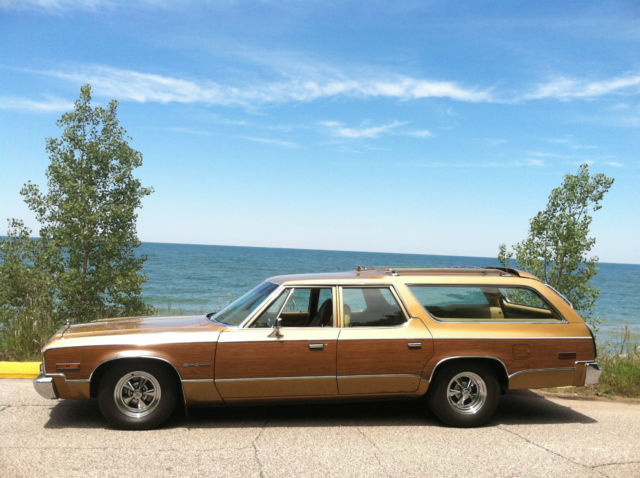 1974 Plymouth Fury Sport Suburban Wagon - photo 2