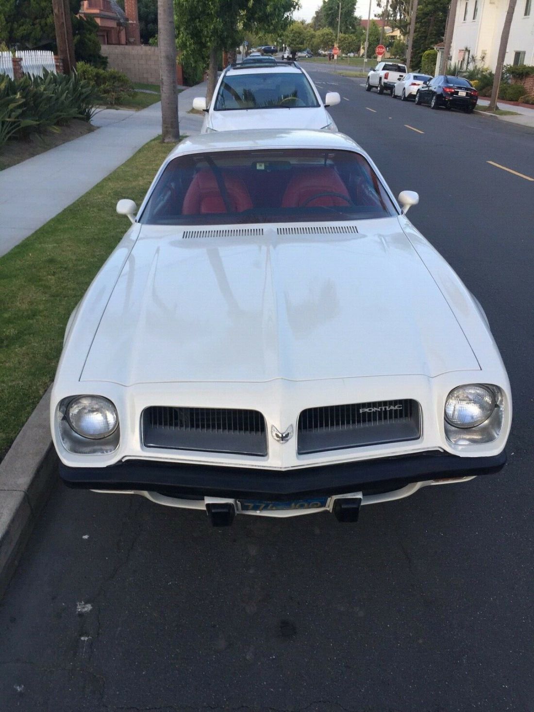 1974 Pontiac Firebird - photo 5