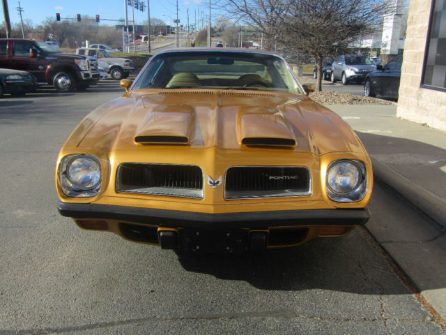 1974 Pontiac Firebird - photo 2