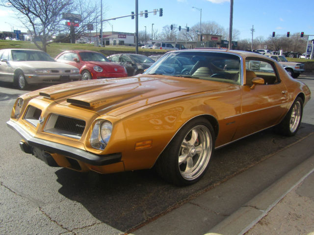 1974 Pontiac Firebird - photo 3