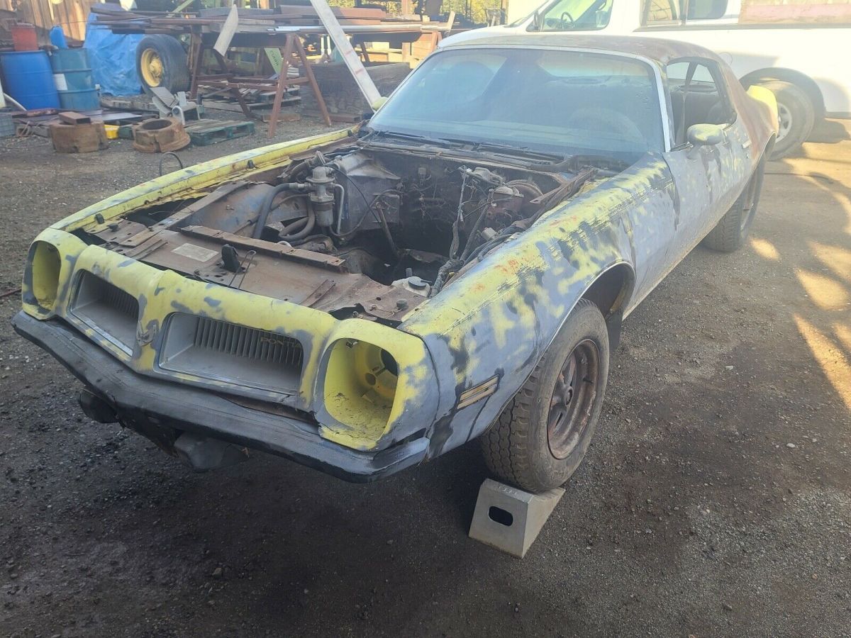 1974 Pontiac Firebird 5.8 formula - photo 13
