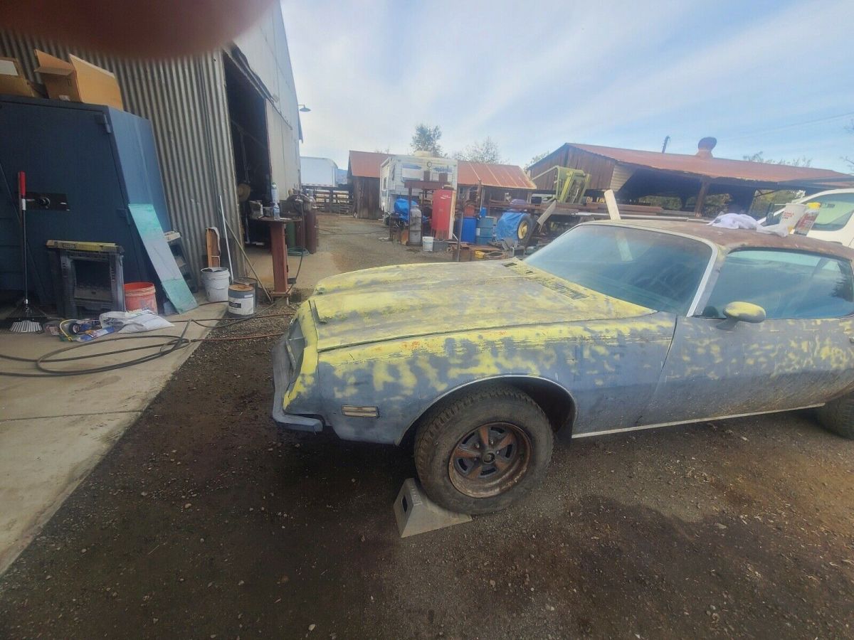 1974 Pontiac Firebird 5.8 formula - photo 2