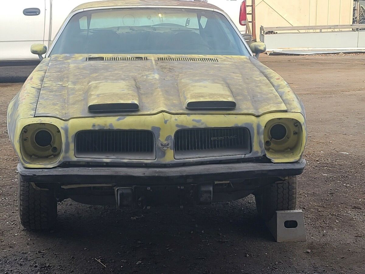 1974 Pontiac Firebird 5.8 formula - photo 3