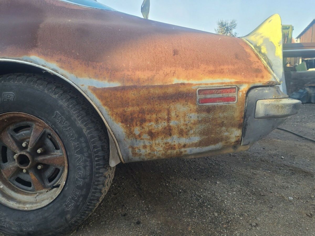 1974 Pontiac Firebird 5.8 formula - photo 7